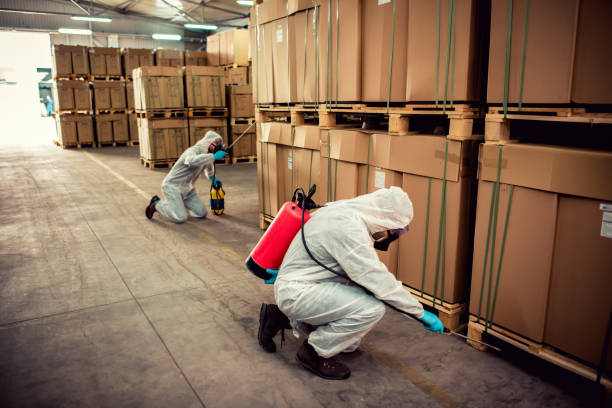 Best Ant Control Services  in The Woodlands, TX