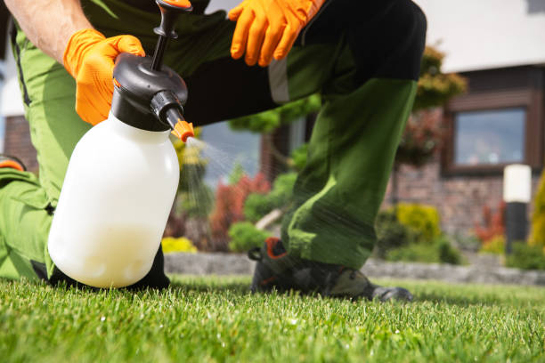 Best Exterminator Services  in The Woodlands, TX