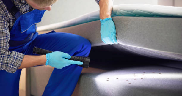 Best Pest Control Near Me in The Woodlands, TX