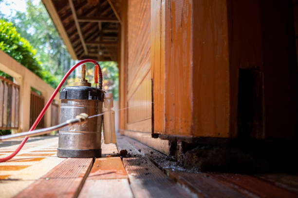 Best Local Pest Control Services  in The Woodlands, TX
