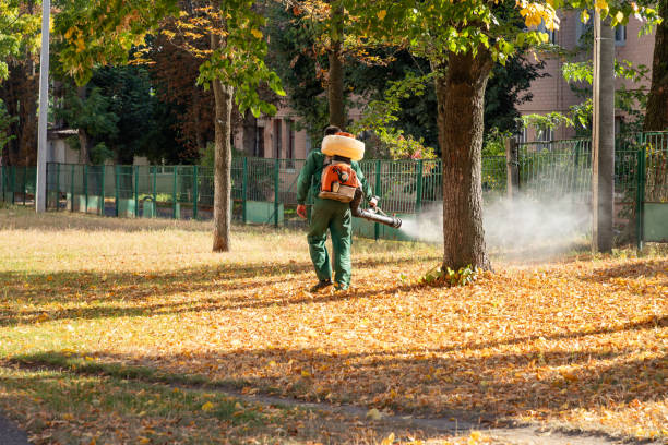 Best Residential Pest Control  in The Woodlands, TX