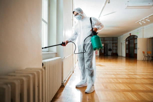Best Bed Bug Extermination  in The Woodlands, TX